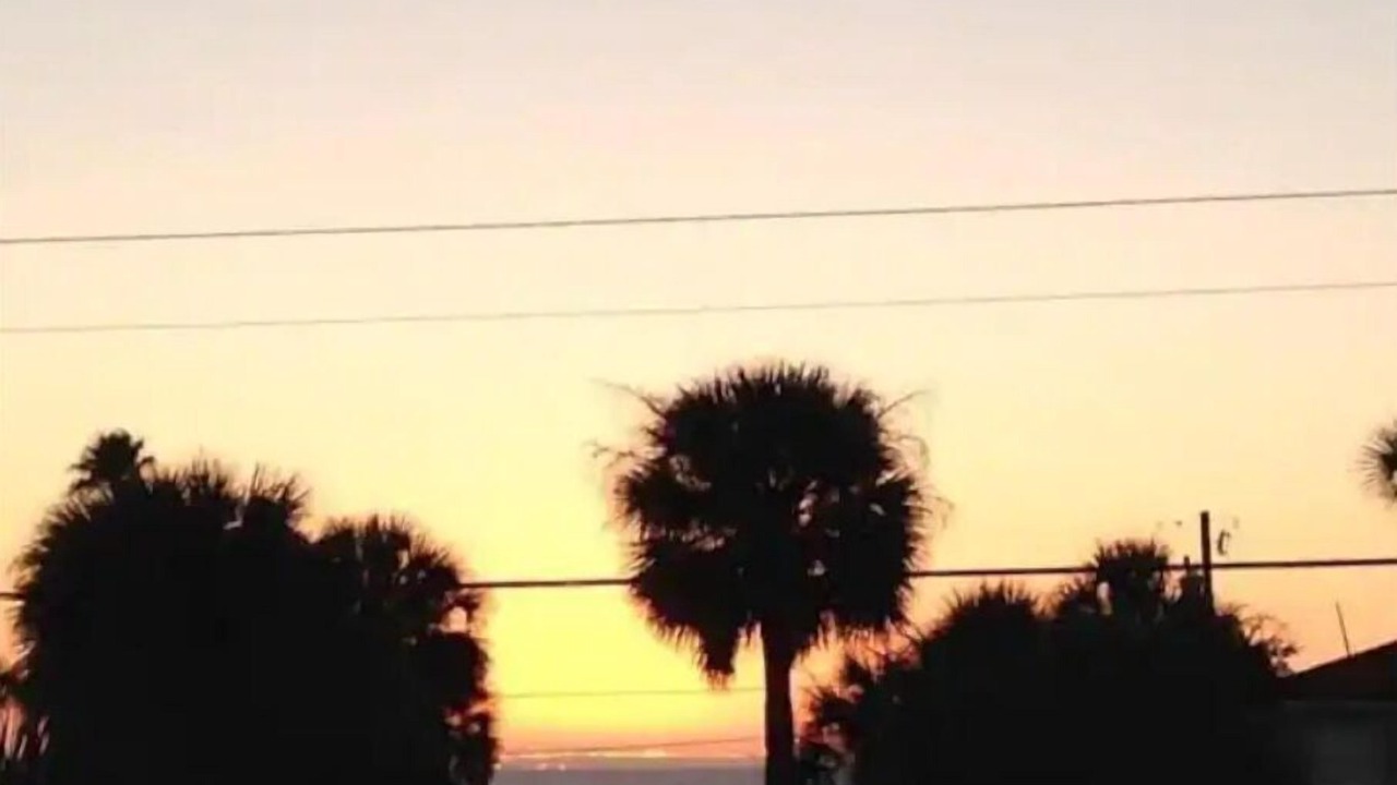 Photo of Outdoor in Indian Rocks Beach