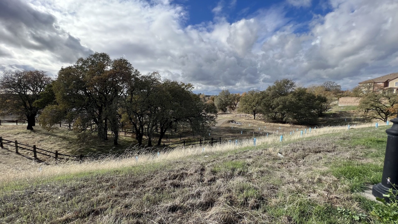 Photo of Others in Folsom