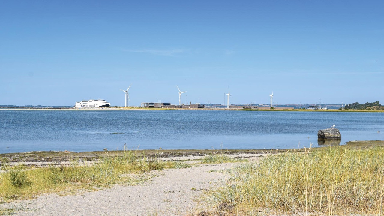 Photo of Others in Øer Strand