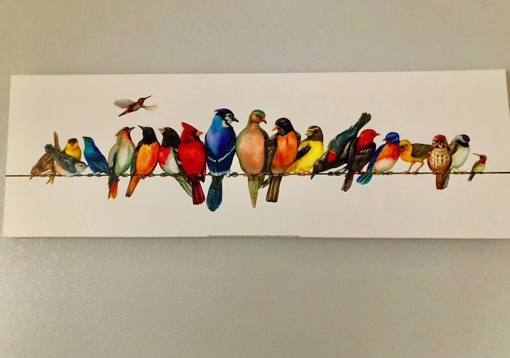 Photo of Others in Shelton