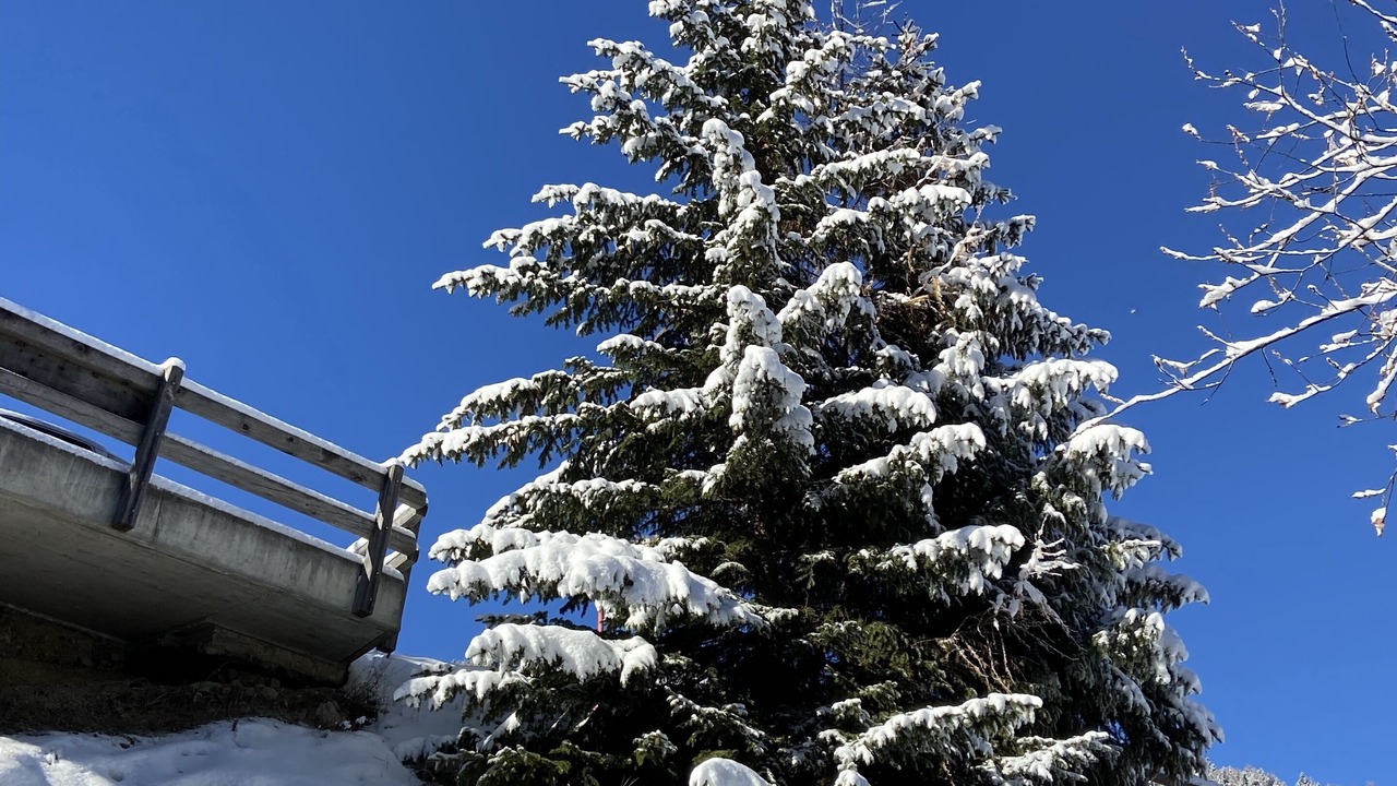 Photo of Outdoor in Grimentz