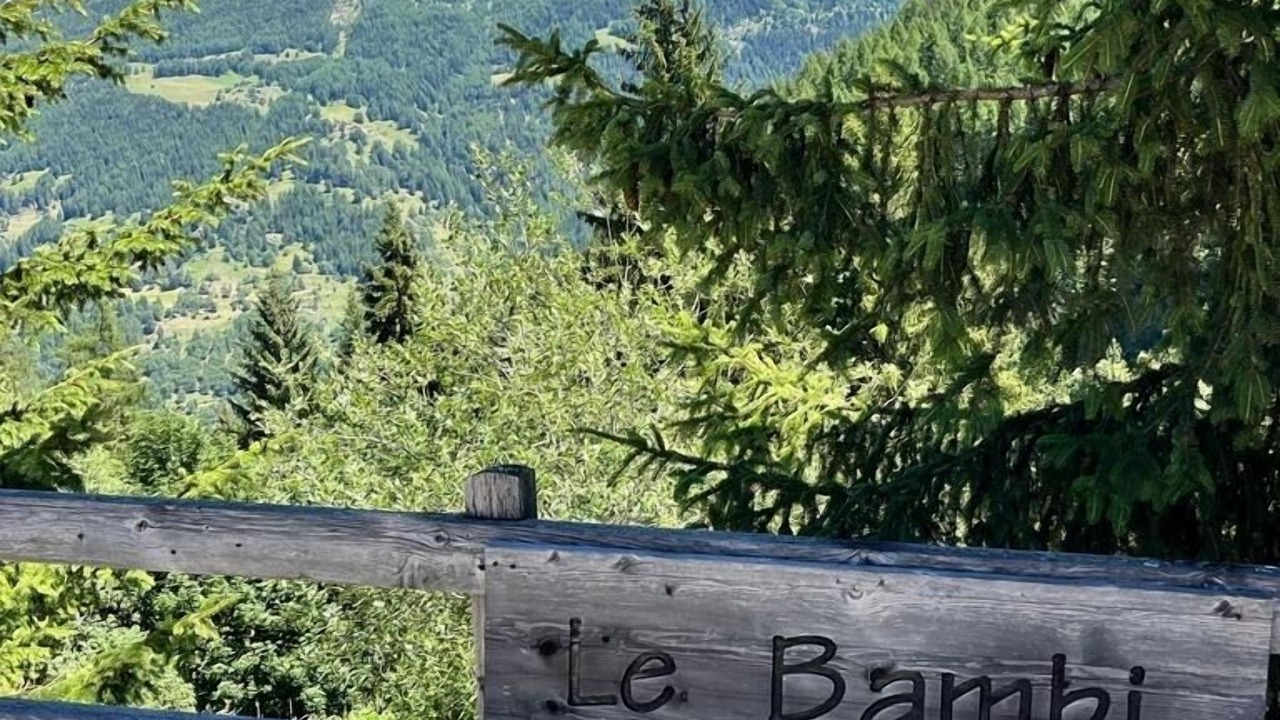 Photo of Outdoor in Grimentz