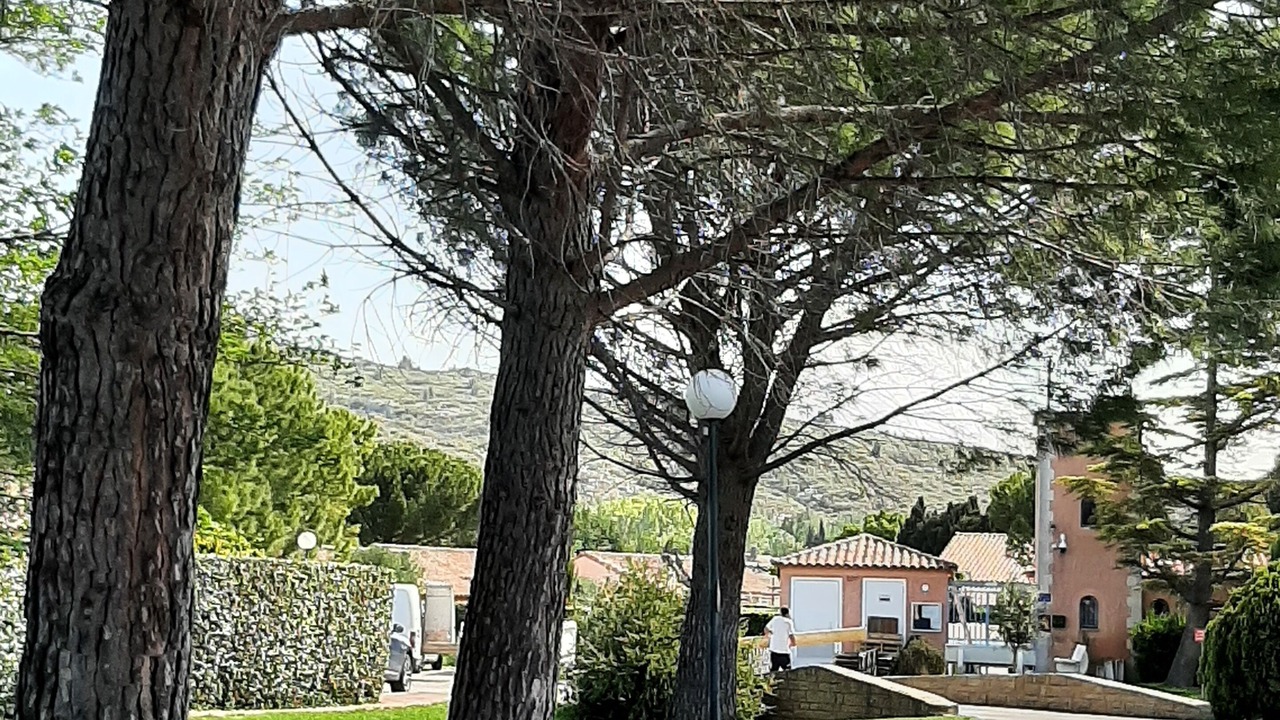 Photo of Outdoor in Eyguieres