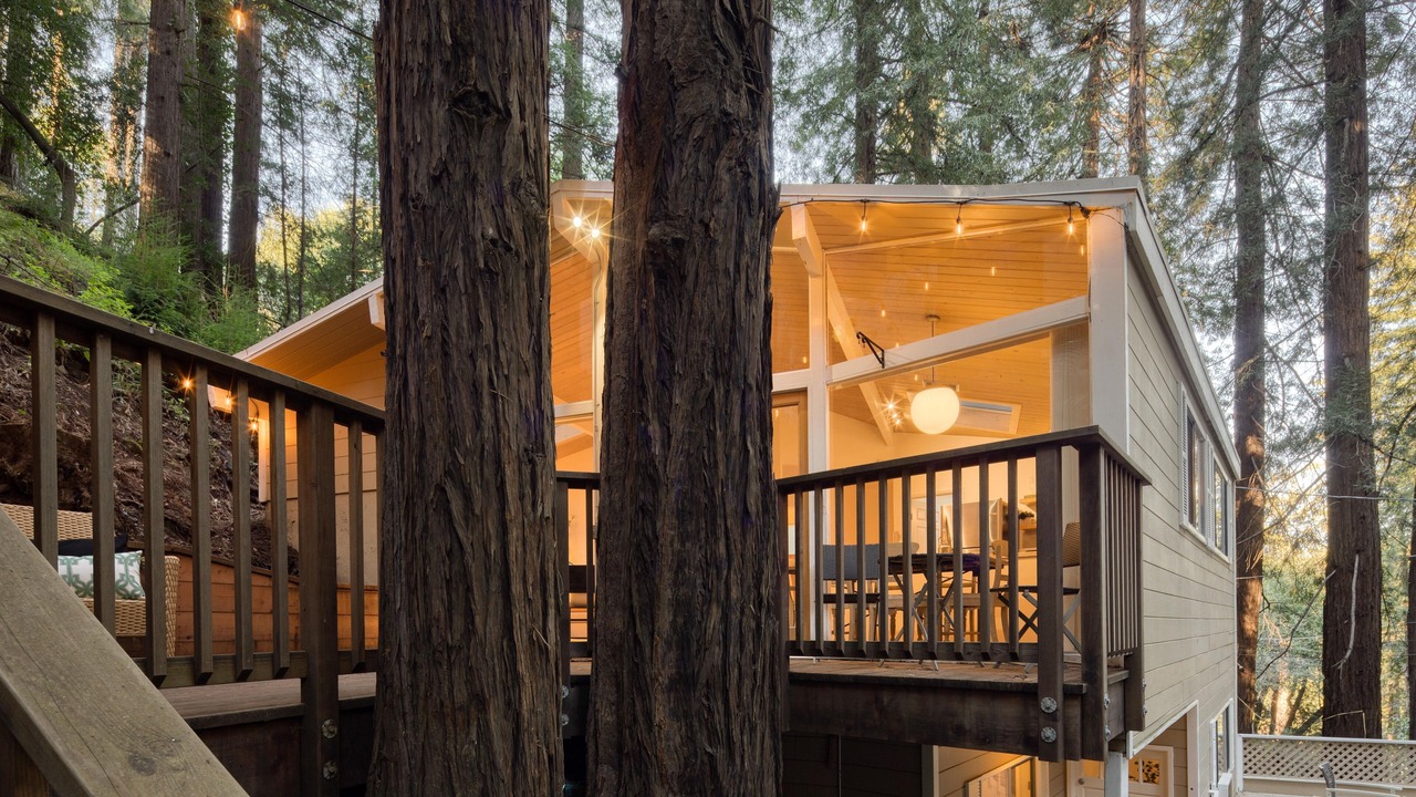 Photo of Outdoor in Mill Valley