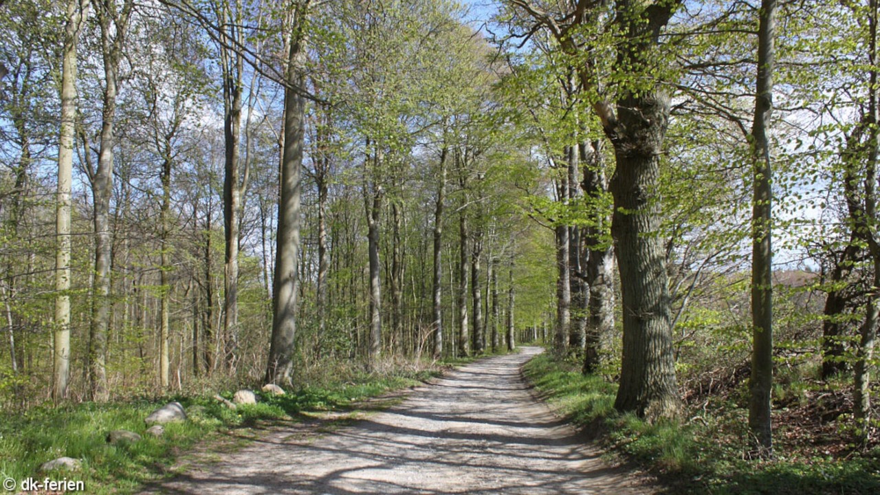 Photo of Others in Fynshav