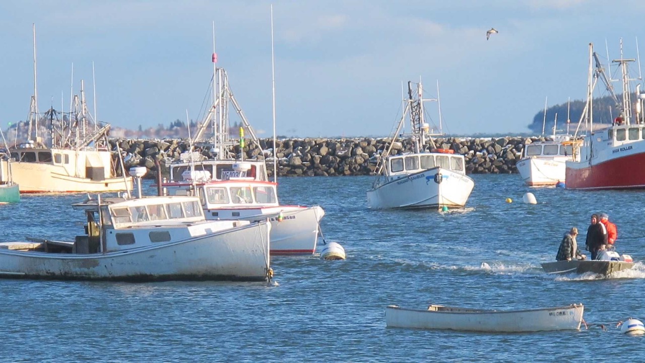 Photo of Bedroom in Jonesport