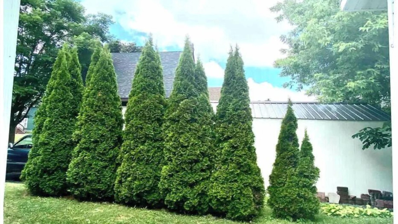 Photo of Outdoor in Watertown