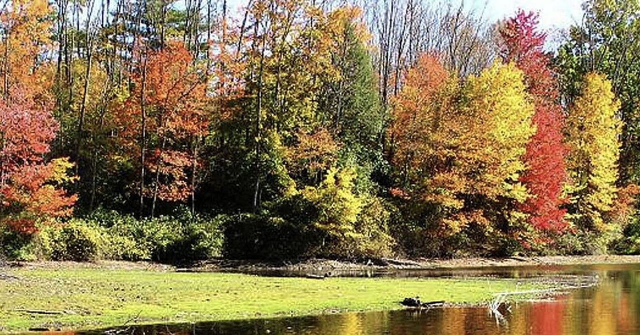 Photo of Others in Lehighton