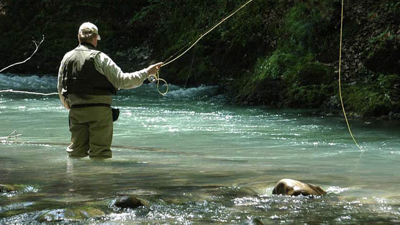 Photo of Others in Lehighton