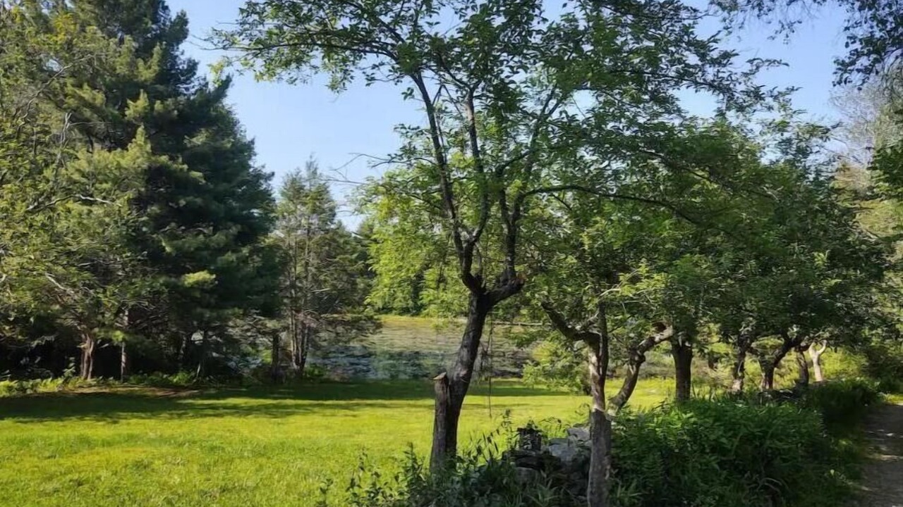 Photo of Others in East Haddam