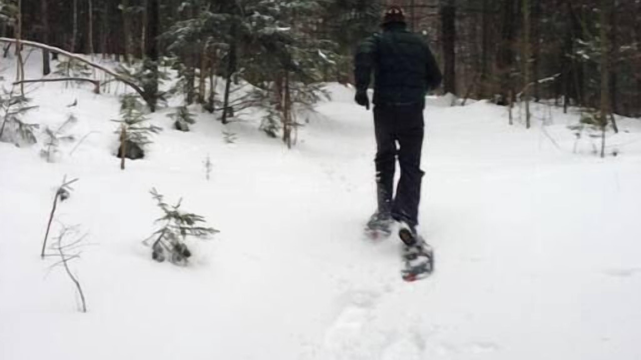 Photo of Others in Johnson