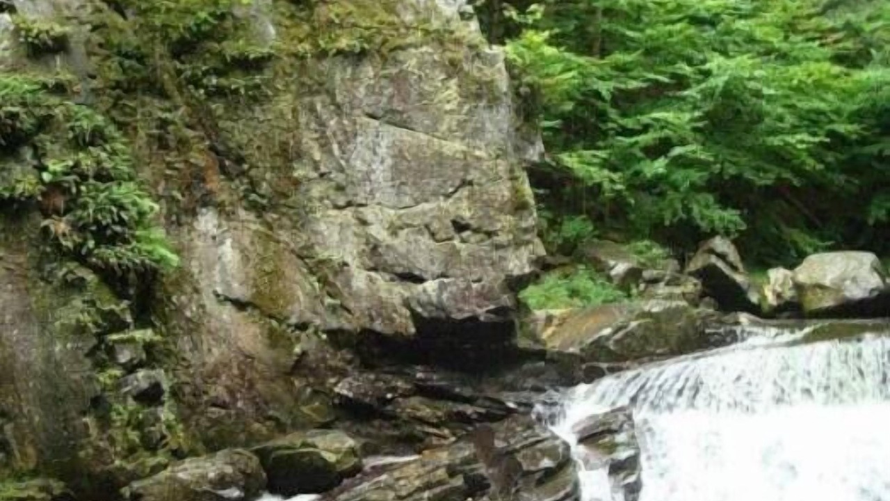 Photo of Others in Johnson