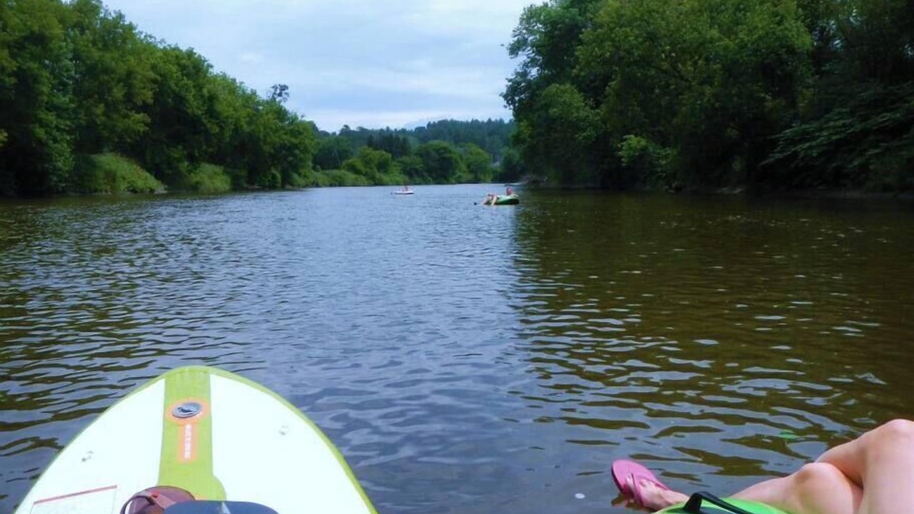 Photo of Others in Johnson