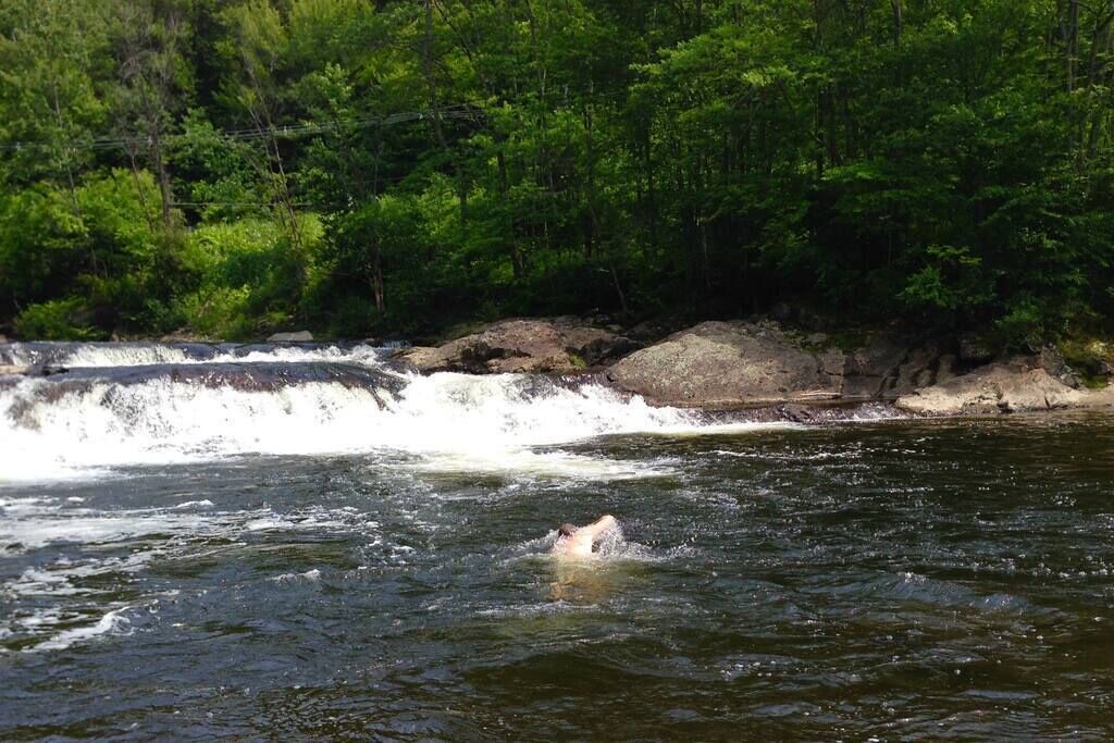 Photo of Others in Johnson