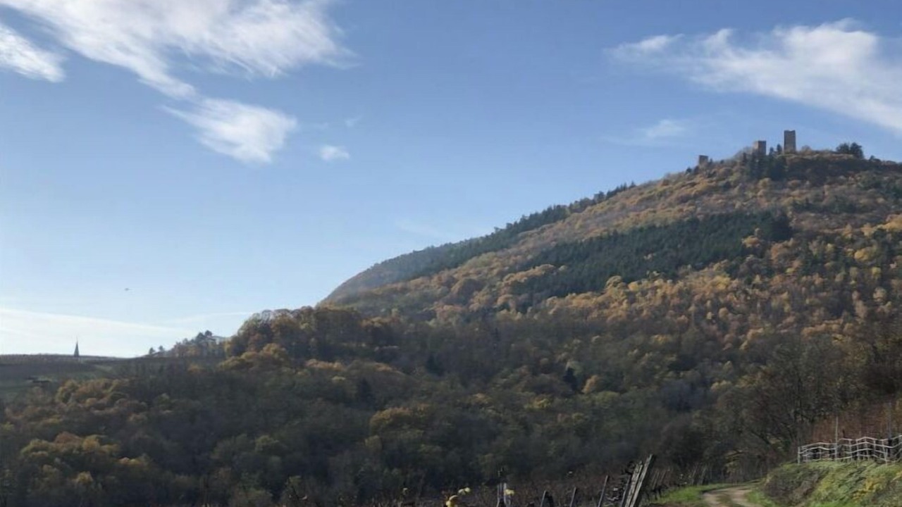 Photo of Outdoor in Eguisheim