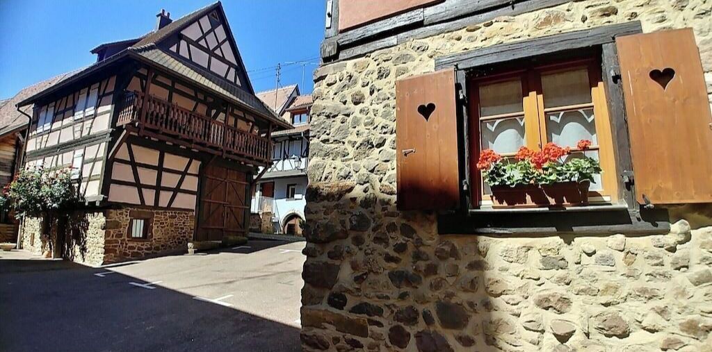 Photo of Outdoor in Eguisheim