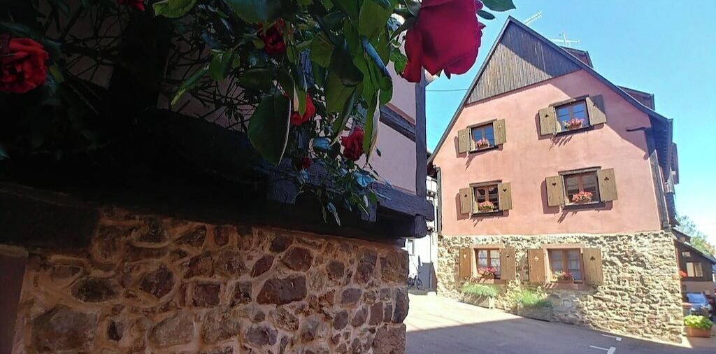 Photo of Outdoor in Eguisheim