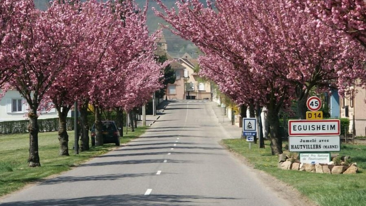 Photo of Outdoor in Eguisheim