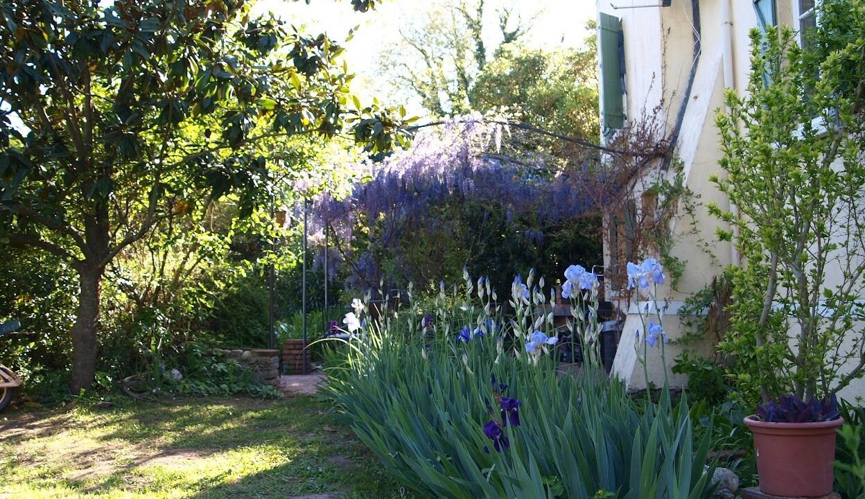 Photo of Outdoor in Latour-Bas-Elne
