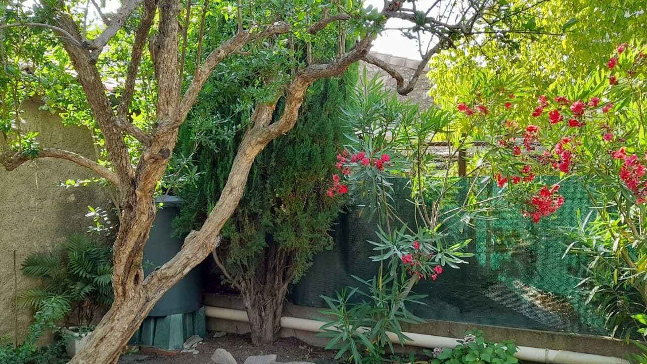 Photo of Outdoor in Puimisson