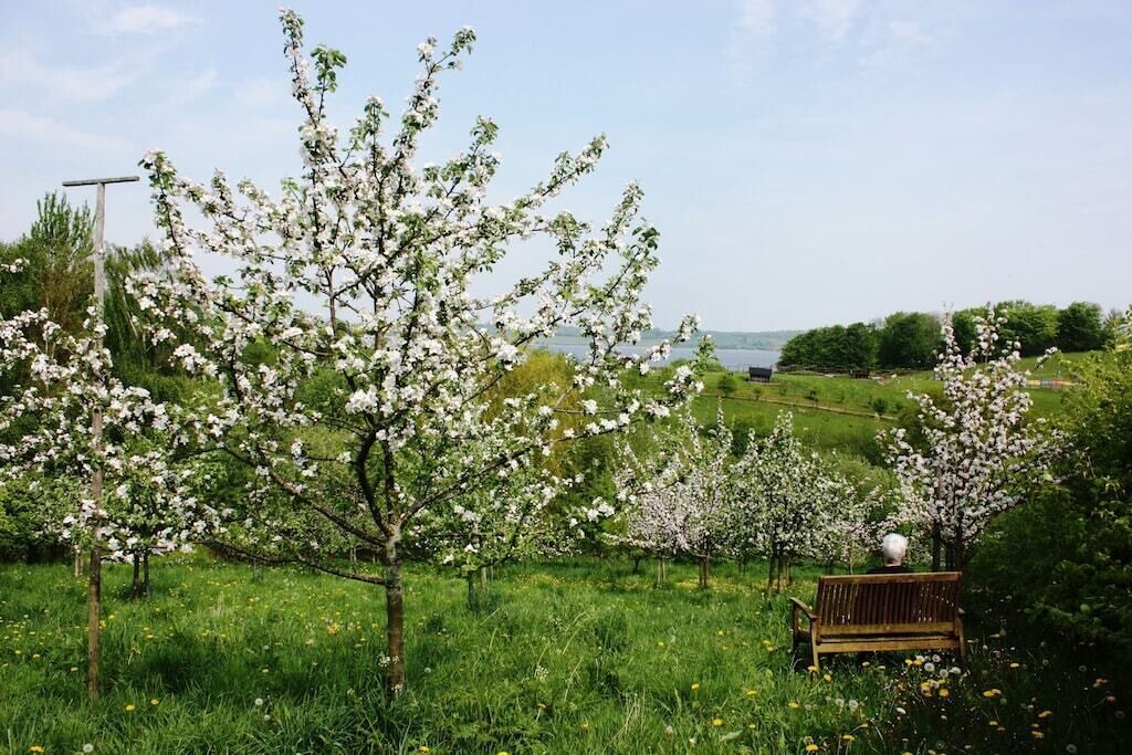 Photo of Outdoor in Broager