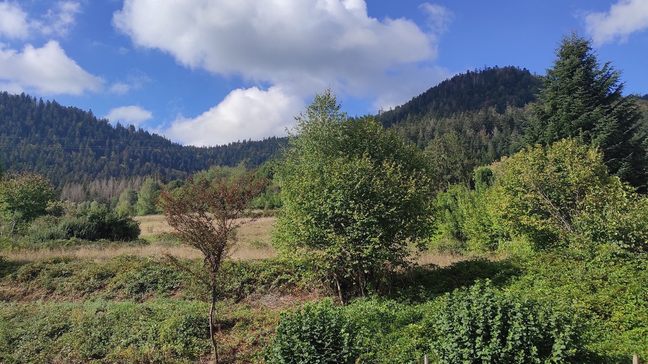Photo of Outdoor in Moussey