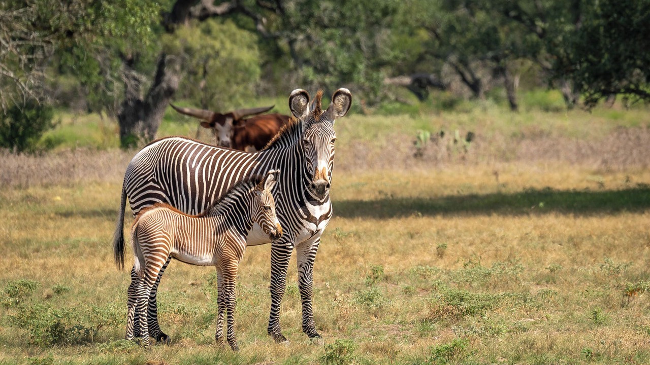 Photo of Others in Lampasas