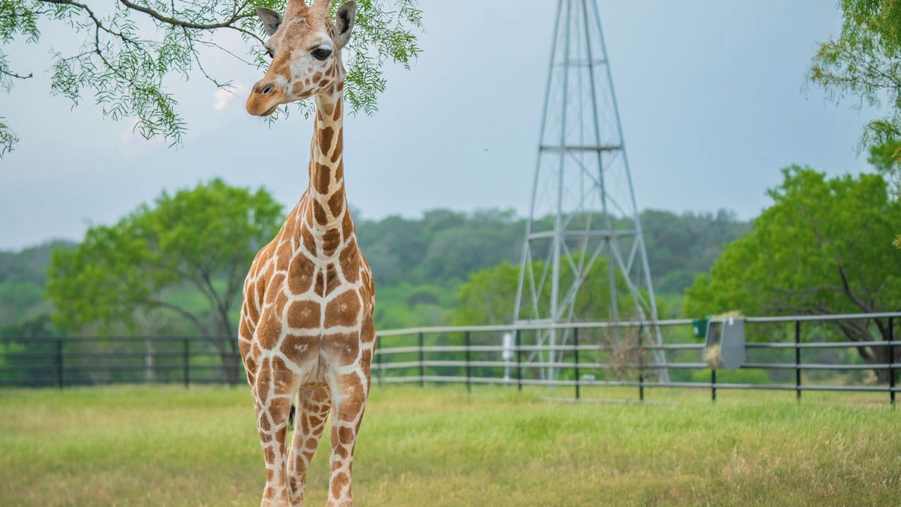 Photo of Others in Lampasas
