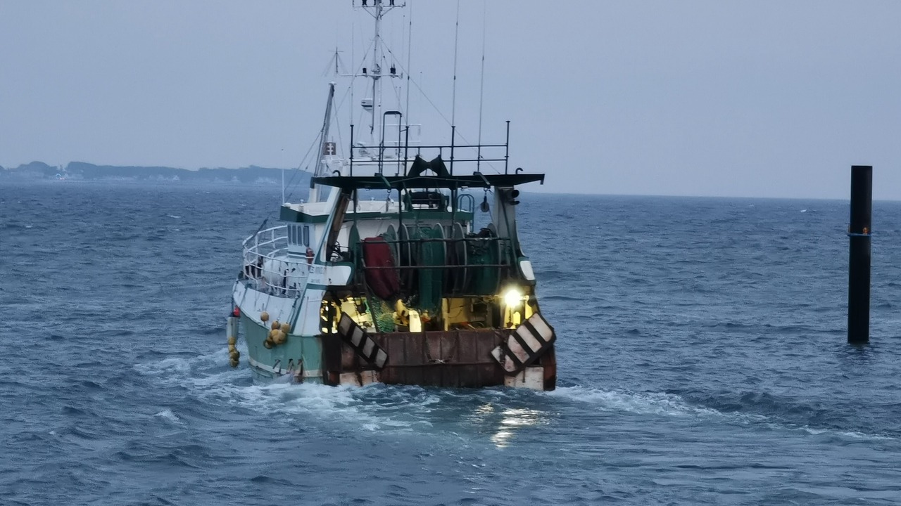 Photo of Others in Piriac-sur-Mer