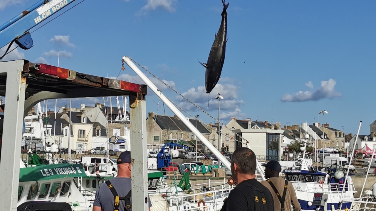 Photo of Others in Piriac-sur-Mer