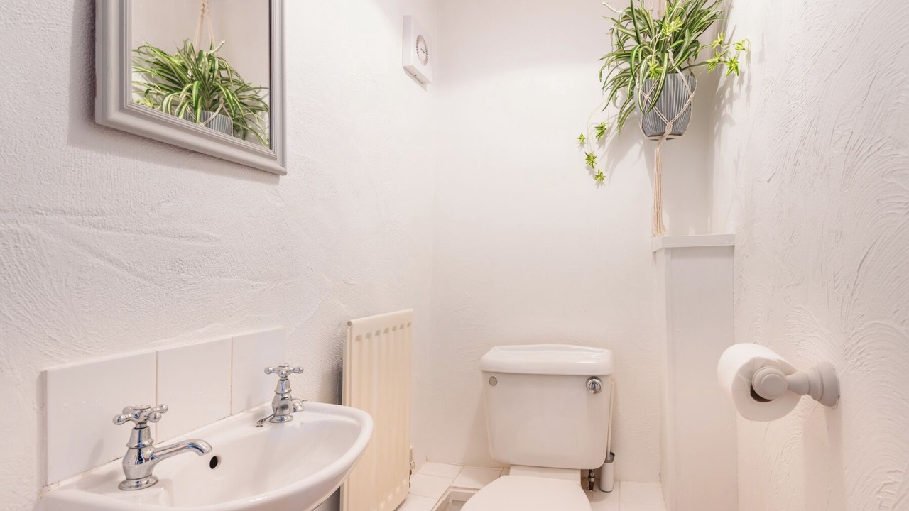 Photo of Others in St Teath