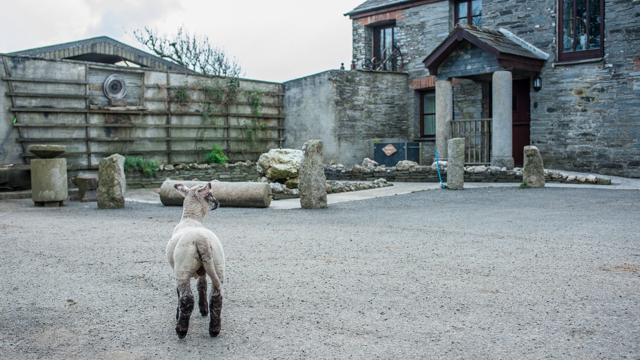 Photo of Outdoor in St Teath