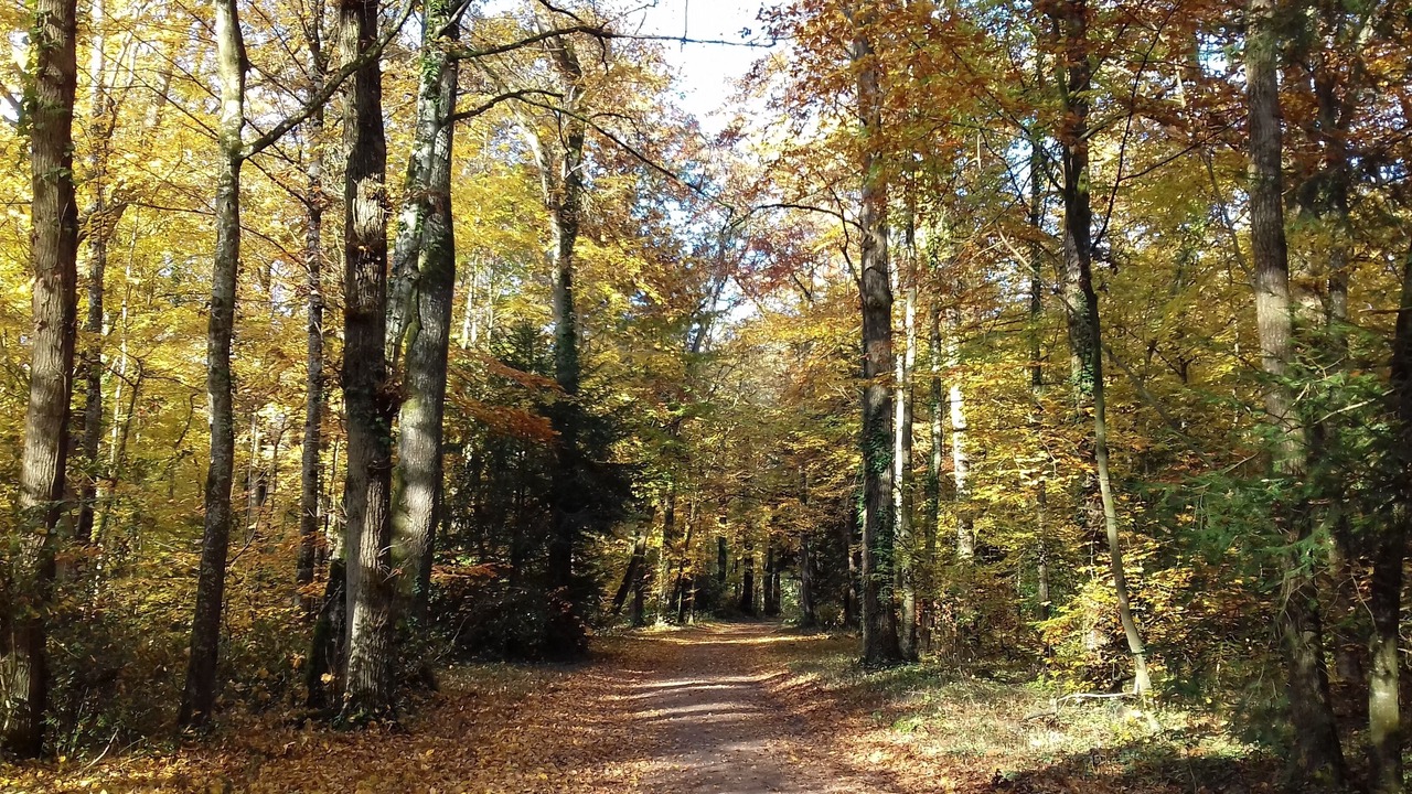 Photo of Outdoor in Monts