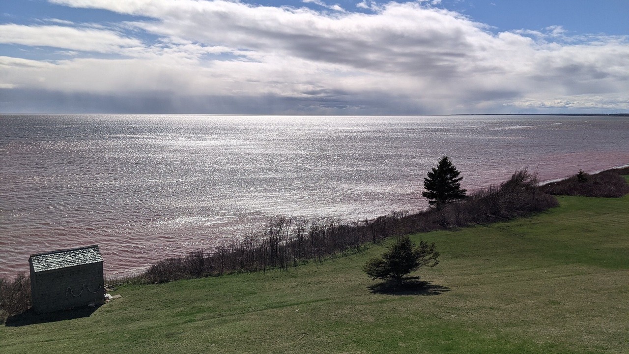 Photo of Others in Brae