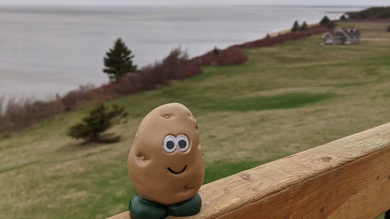 Photo of Others in Brae