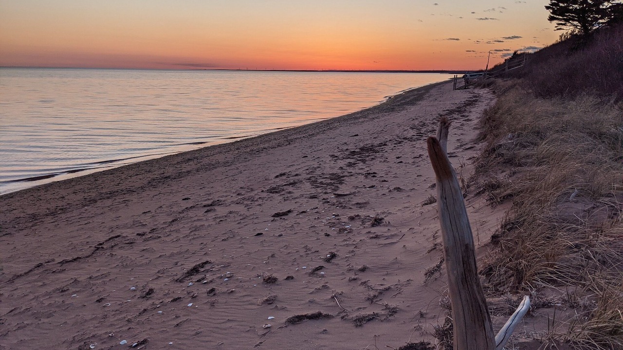 Photo of Others in Brae