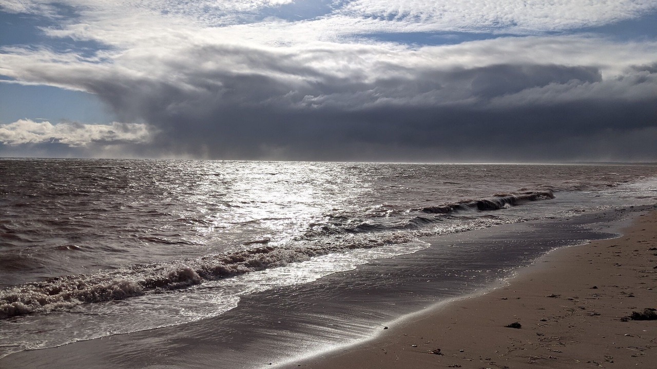 Photo of Others in Brae