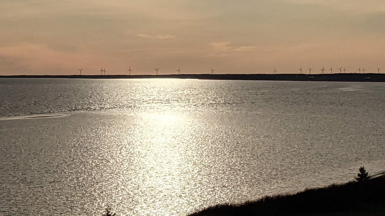 Photo of Others in Brae