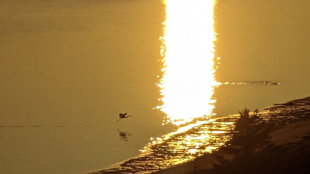 Photo of Others in Brae