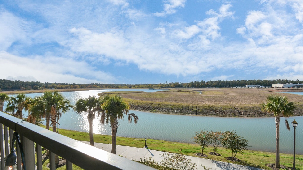 Photo of Outdoor in Spring
