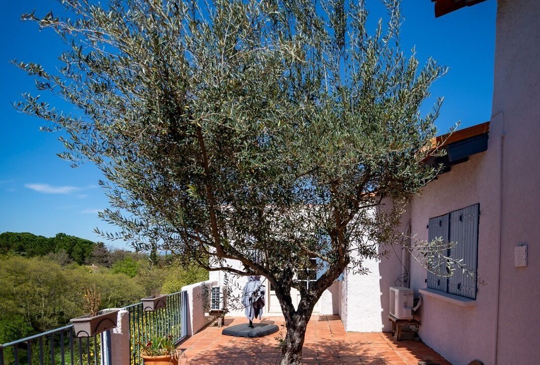 Photo of Outdoor in Montesquieu-des-Alberes