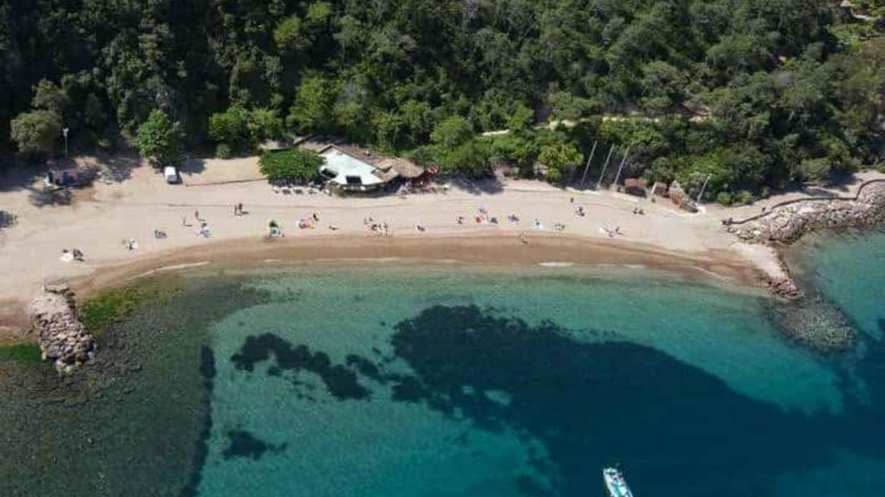 Photo of Others in Nice