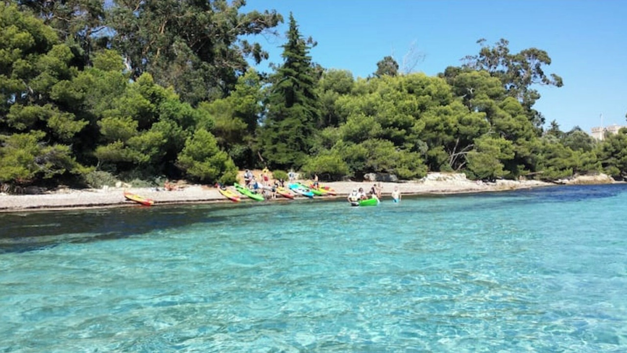 Photo of Others in Nice