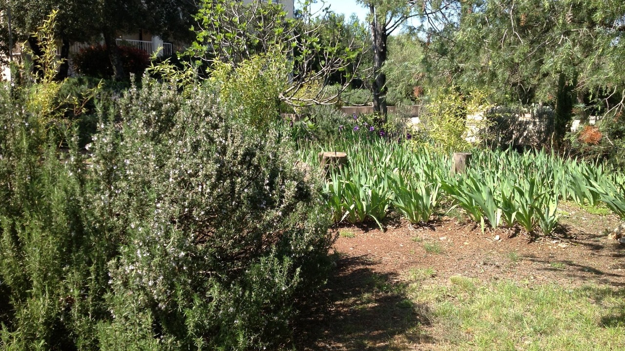 Photo of Outdoor in Mejannes-le-Clap