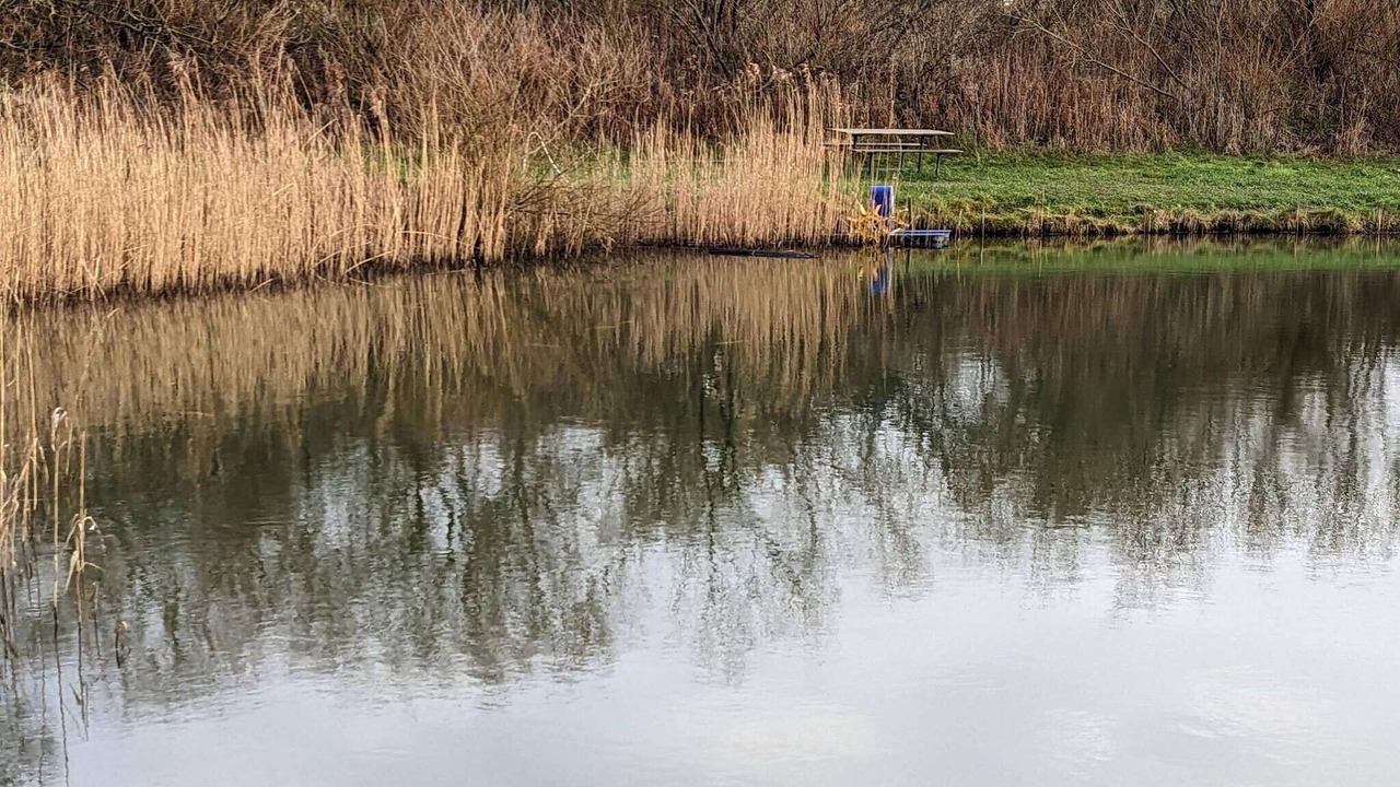 Photo of Others in Nørre Lyngby