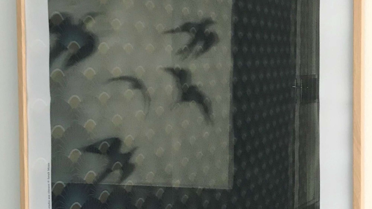 Photo of Others in Tournefeuille