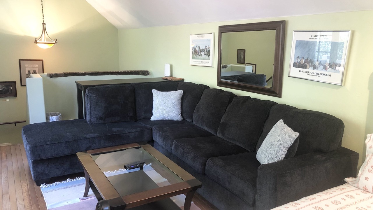Photo of Livingroom in Minturn
