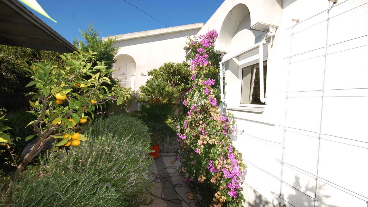 Photo of Outdoor in Vantacici