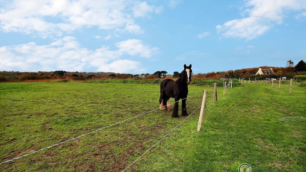 Photo of Outdoor in Plougrescant