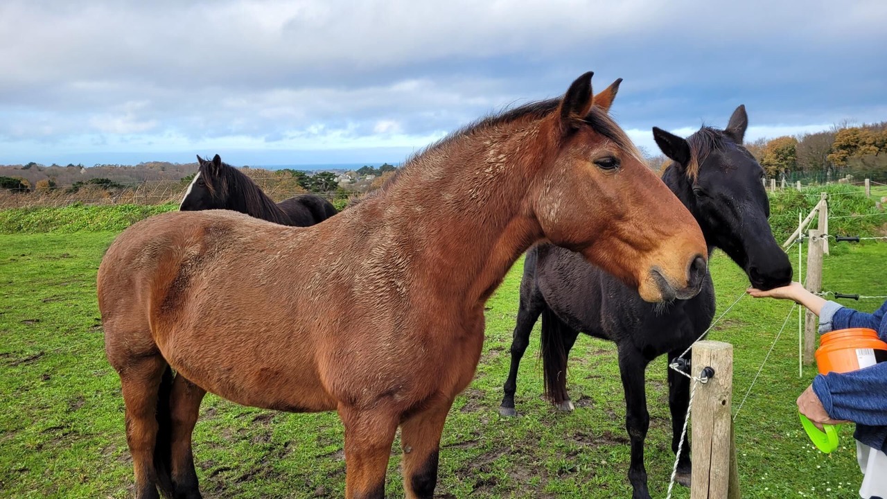 Photo of Outdoor in Plougrescant